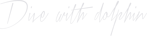 Dive-with-dolphin
