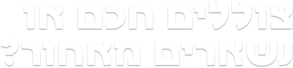 צוללים חכם או נשארים מאחור ?